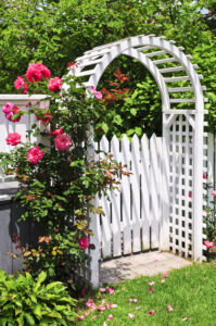 White,Arbor,With,Red,Blooming,Roses,In,A,Garden
